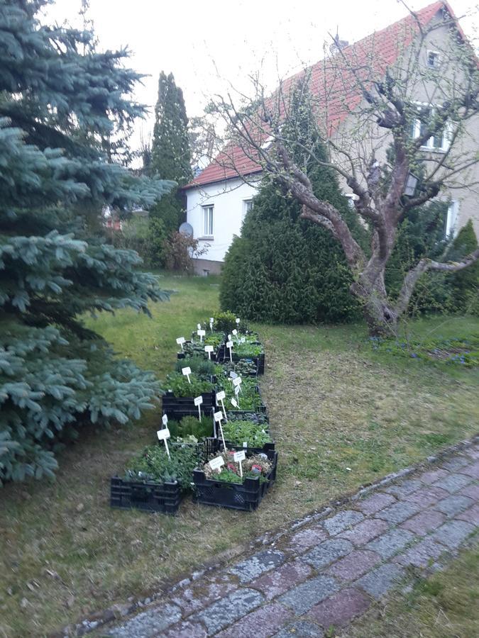 Appartamento Kraeuter-Heidi Schwielowsee Esterno foto