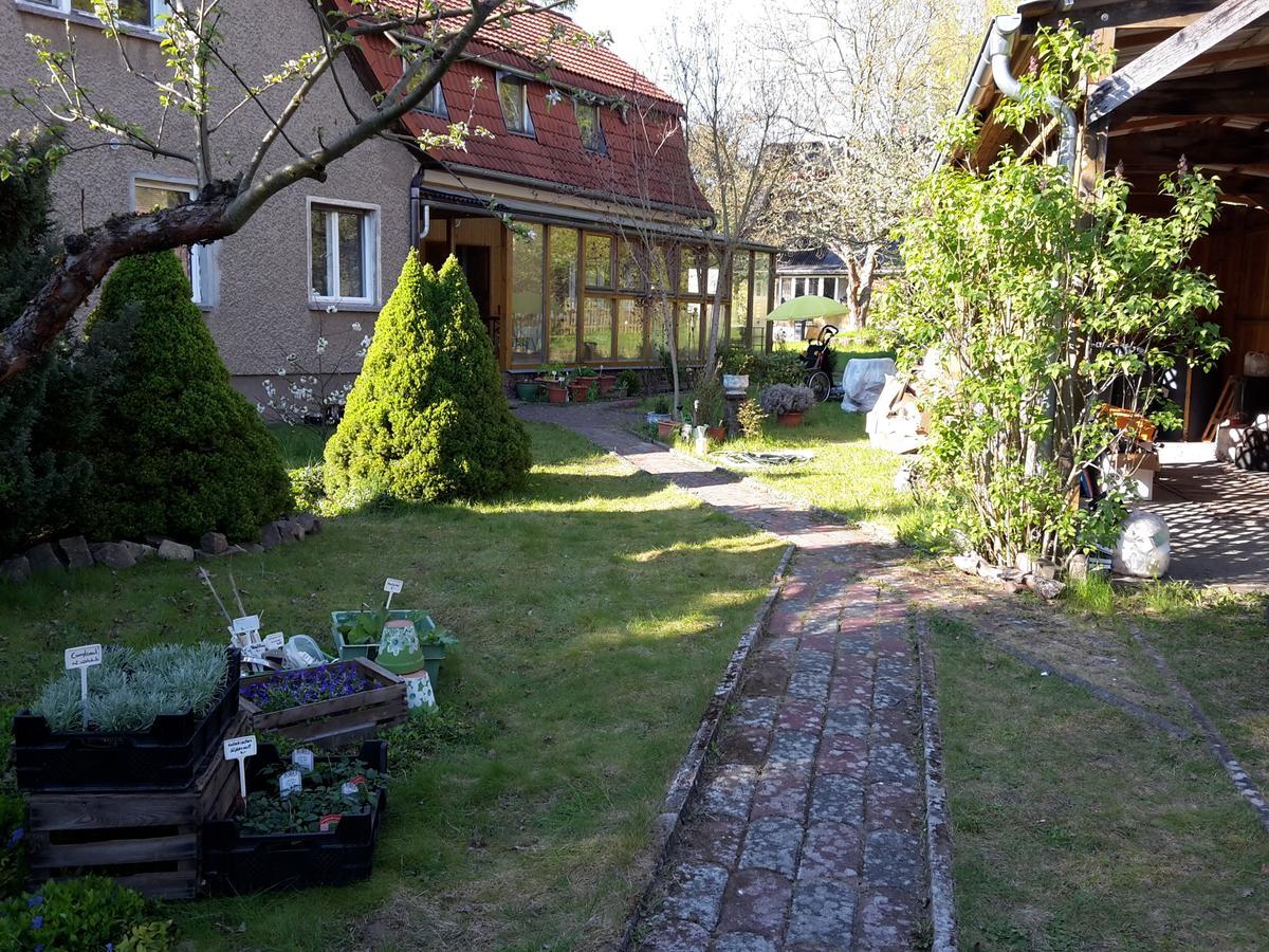 Appartamento Kraeuter-Heidi Schwielowsee Esterno foto