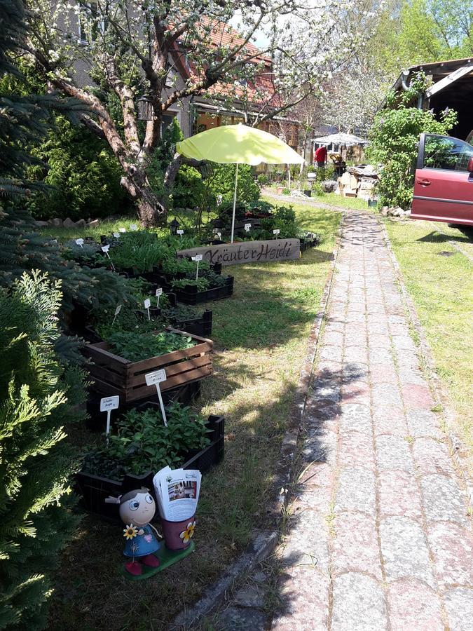 Appartamento Kraeuter-Heidi Schwielowsee Esterno foto